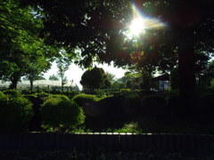 2017/05/04_鎮守の森公園