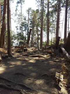 2019/04/13_鞍馬寺 大杉権現社跡?