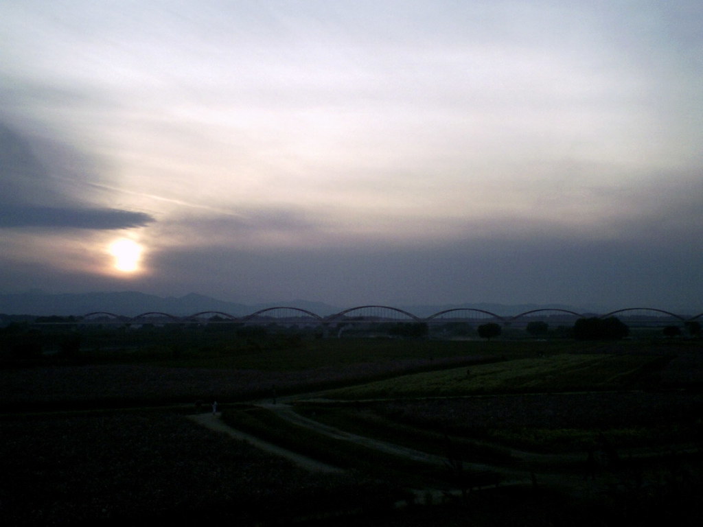 2015/11/01_夕暮れの吹上コスモス畑