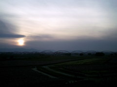 2015/11/01_夕暮れの吹上コスモス畑