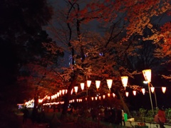 2017/04/06_上野公園の夜桜