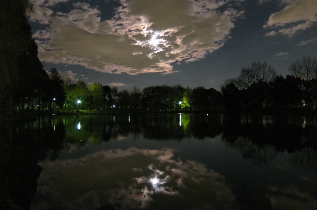 2014/12/06_月夜の北本総合公園