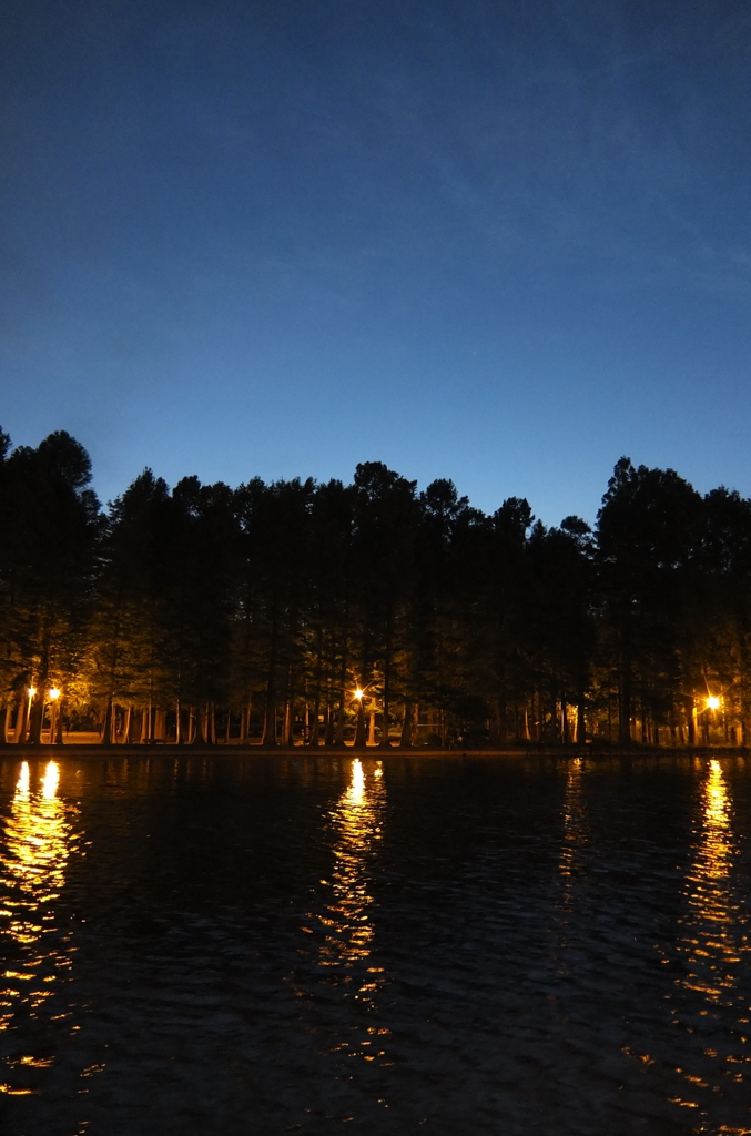 2014/05/18_夕暮れの別所沼公園