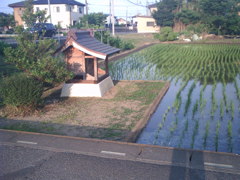 2017/06/11_田んぼの中の社