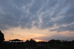 2014/10/12_伊奈バラ園の夕暮れ