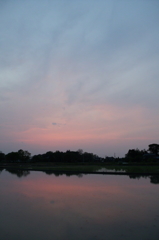 2016/05/01_水田の夕暮れ
