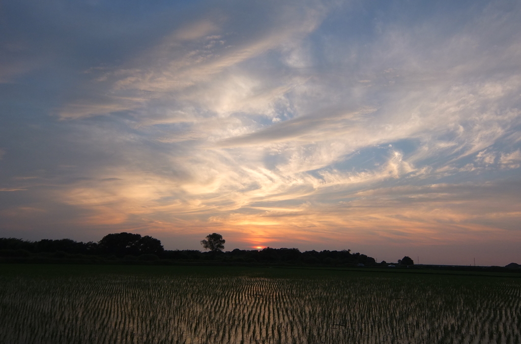 2014/07/12_夕暮れ