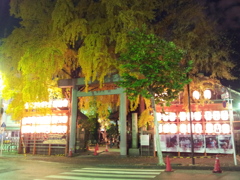 2016/12/03_夜の波除神社