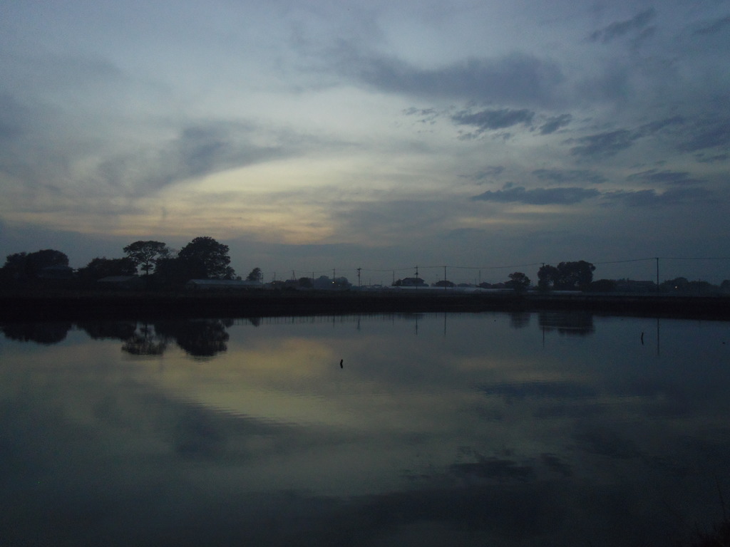 2016/11/20_溜め池の夕暮れ