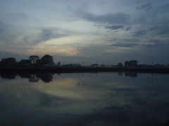 2016/11/20_溜め池の夕暮れ