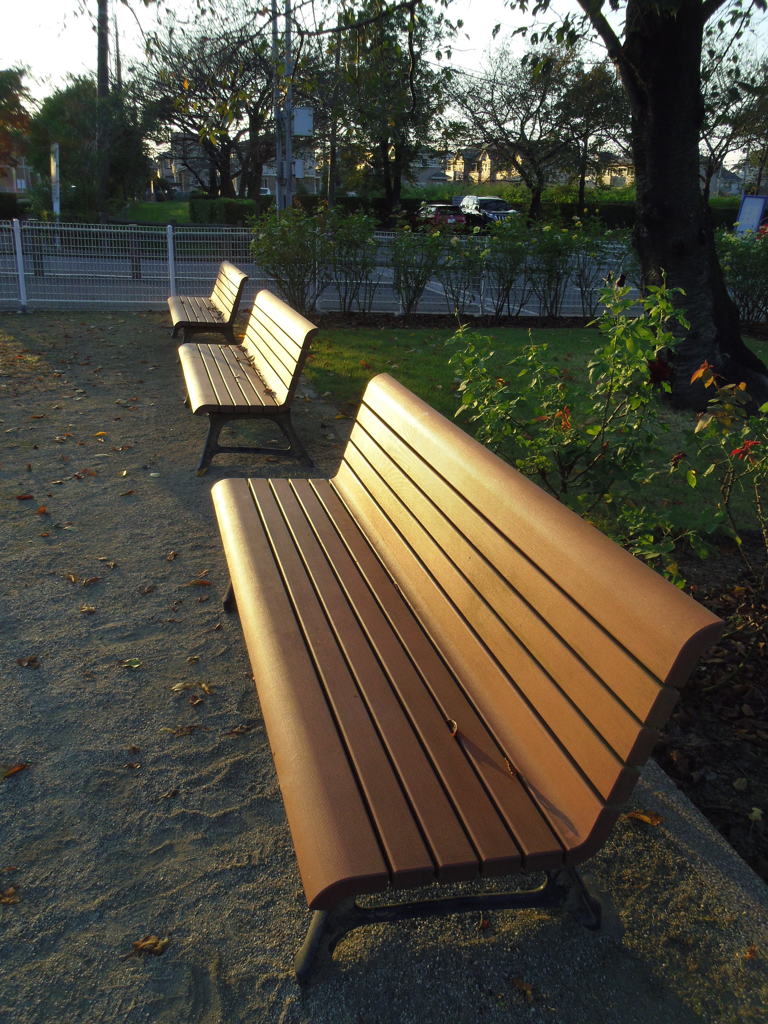 2016/10/15_伊奈バラ園の夕暮れベンチ