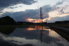 2015/06/06_水田の夕暮れ