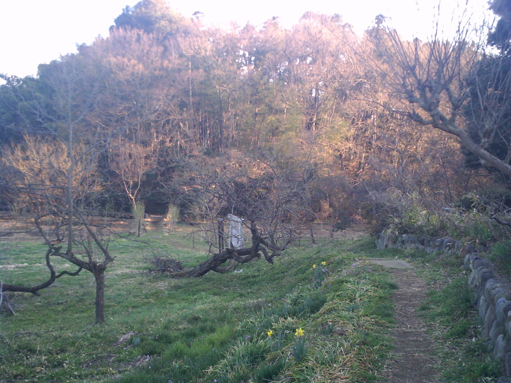 2014/03/22_高尾宮岡の景観地