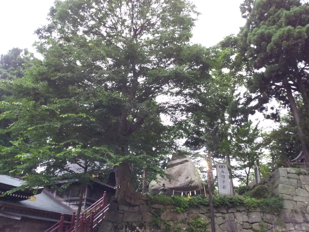 2016/07/16_盛岡城跡公園（岩手公園）烏帽子岩