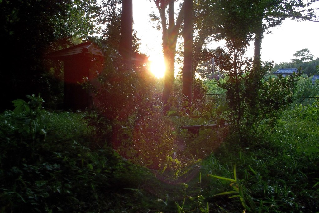 2015/05/10_夕暮れの辯才天堂