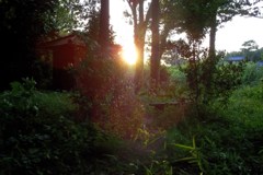 2015/05/10_夕暮れの辯才天堂