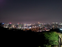 2017/06/17_南山公園からソウル市街の夜景を望む
