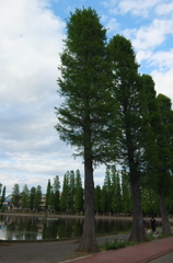 2014/05/18_別所沼公園