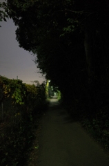 2014/11/08_夜の田舎道