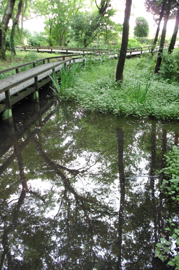 2015/07/05_伊奈町制施行記念公園