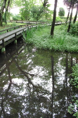 2015/07/05_伊奈町制施行記念公園