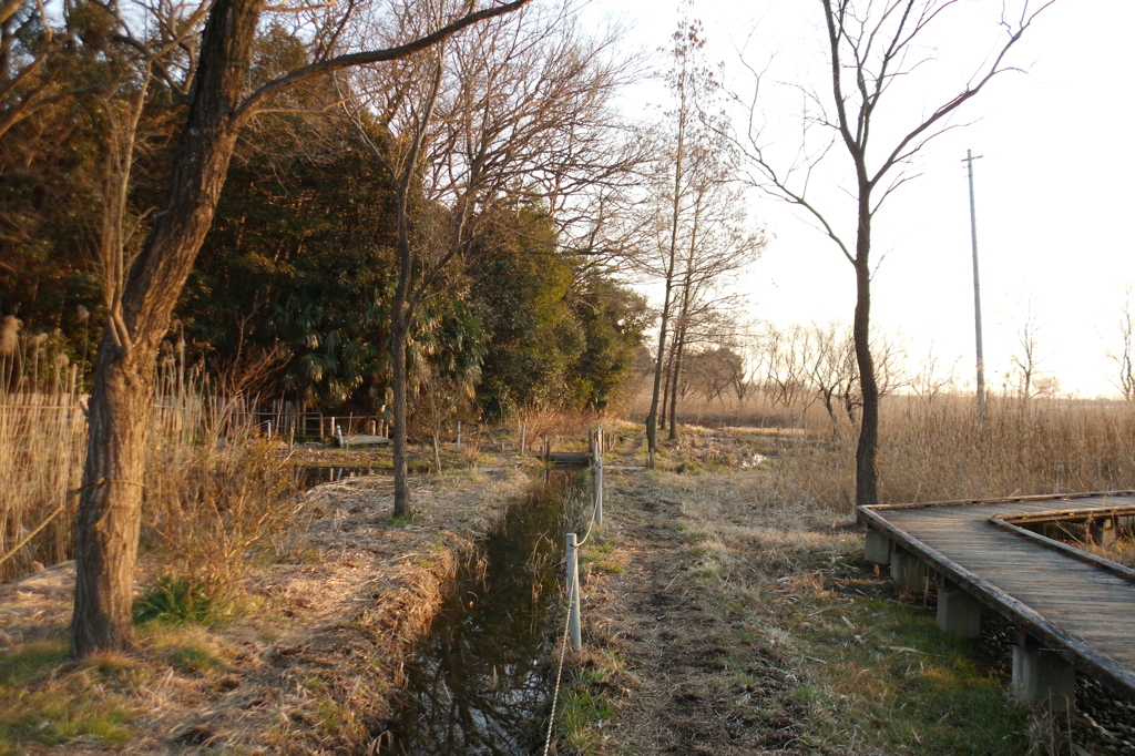 2015/02/11_ホタルの里