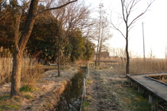 2015/02/11_ホタルの里