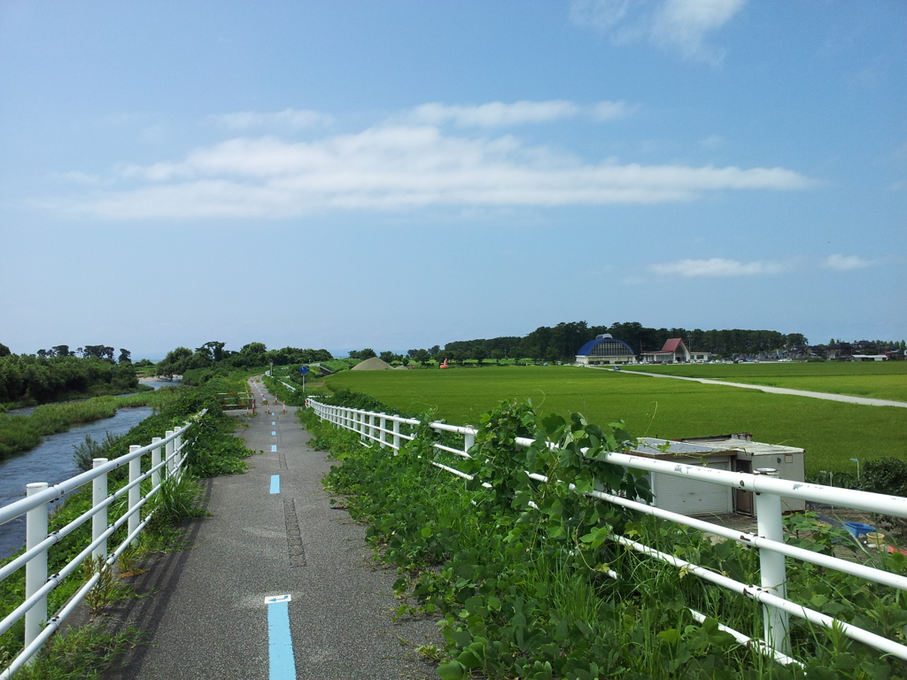 2017/08/11_落合橋の北側の道