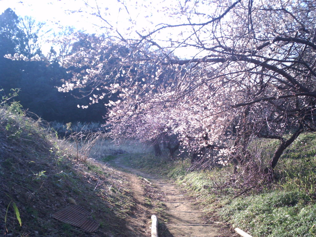 2014/03/22_高尾宮岡の景観地