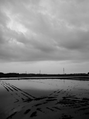 2017/05/27_水田の曇天