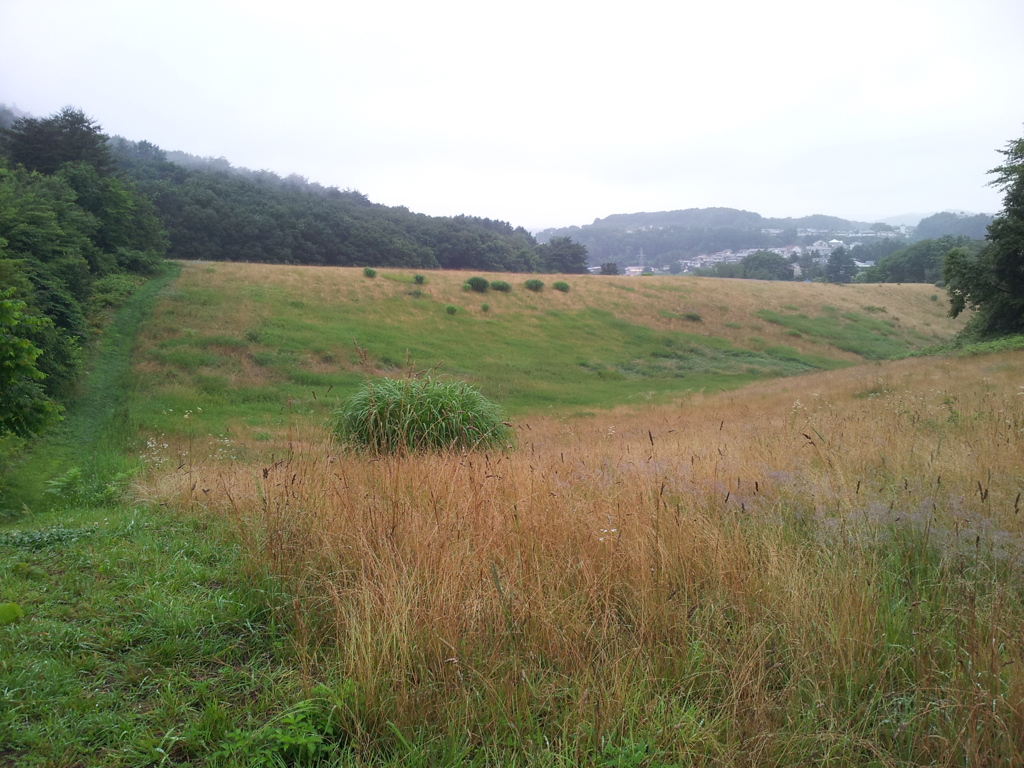 2016/07/17_小鹿公園