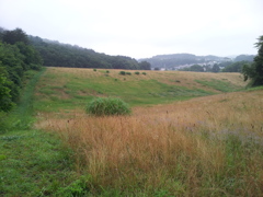 2016/07/17_小鹿公園