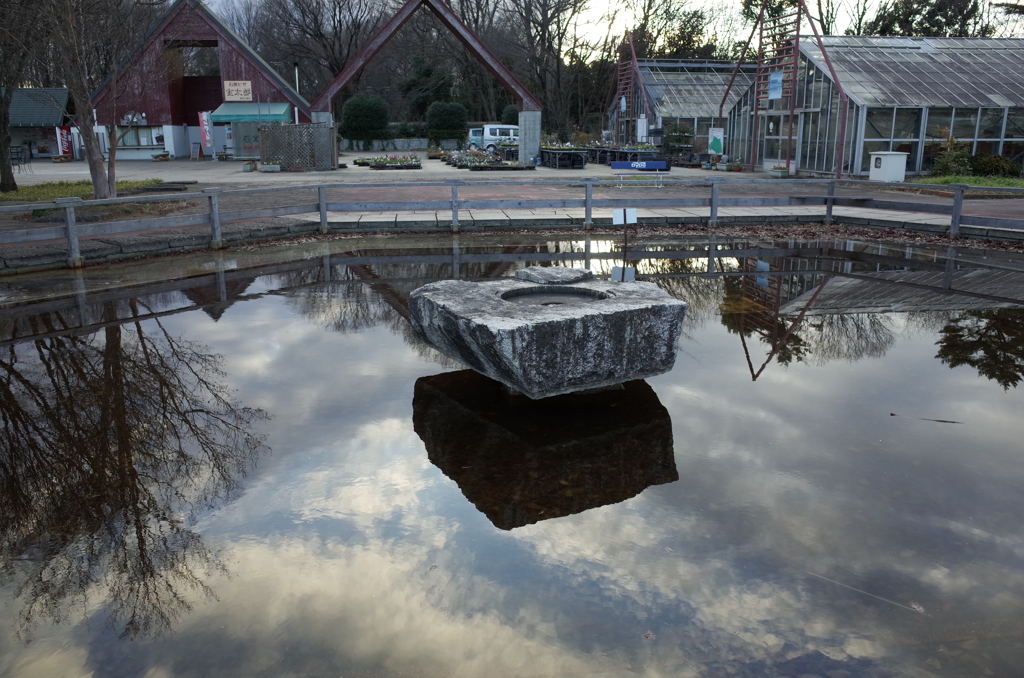 2016/01/16_農林公園 幸福の泉