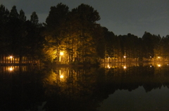2014/11/02_夜の別所沼公園