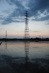 2016/06/05_水田の夕暮れ