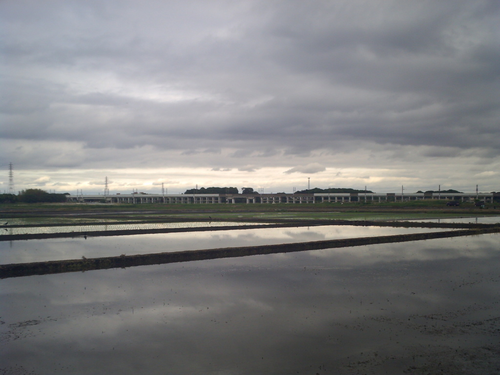 2017/05/14_水田の曇天