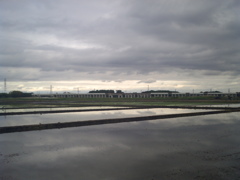 2017/05/14_水田の曇天