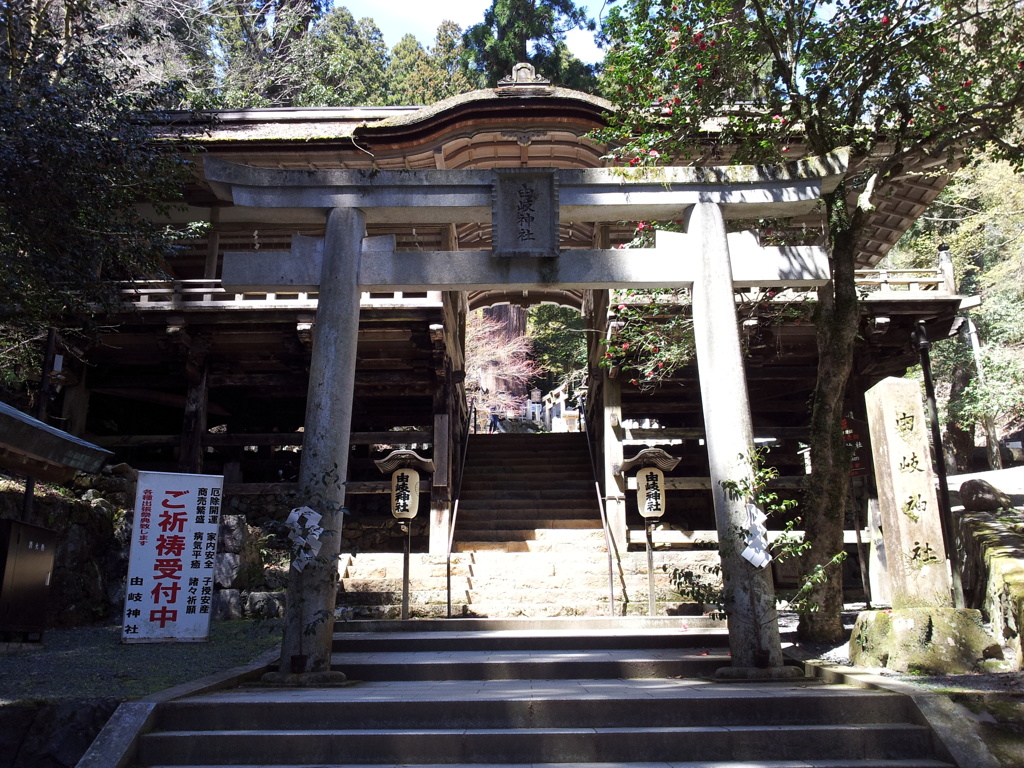 2019/04/13_由岐神社 鳥居と拝殿