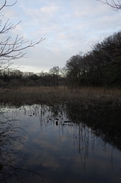 2016/03/26_北本自然観察公園
