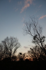 2015/12/31_夕暮れ