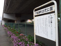 2016/07/16_夕顔瀬町幼児公園