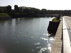 2016/08/13_五稜郭公園