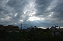 2014/06/29_天使の梯子