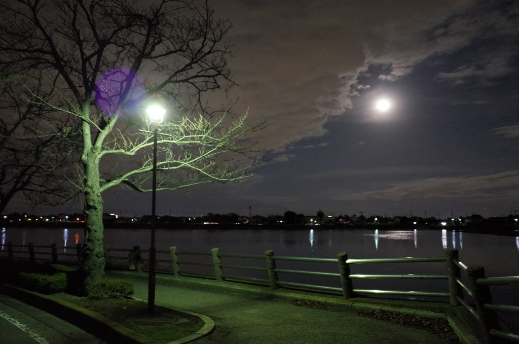 2014/12/07_月夜の伊佐沼