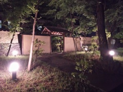 2016/05/08_夜のこころの杜