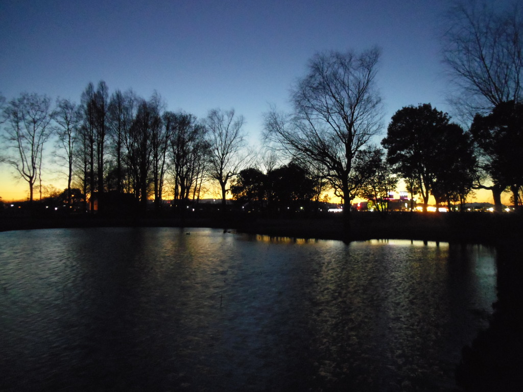 2016/12/30_さきたま古墳公園の夕暮れ