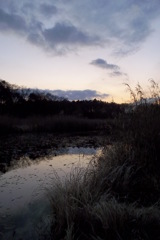 2015/12/31_赤坂沼の夕暮れ