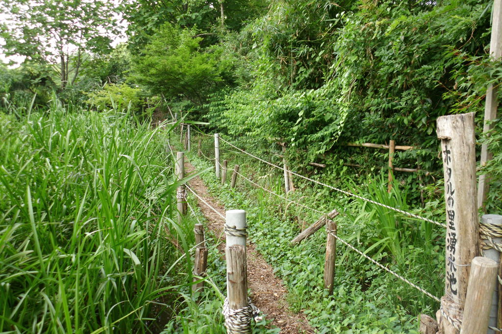 2014/06/21_ホタルの里