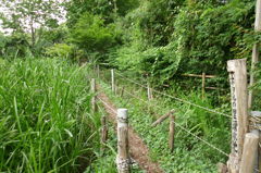 2014/06/21_ホタルの里