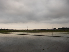 2017/05/27_水田の曇天